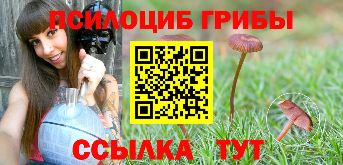 Рославль  Псилоцибиновые грибы ЛСД  магазин  наркотиков  Вход с VPN 