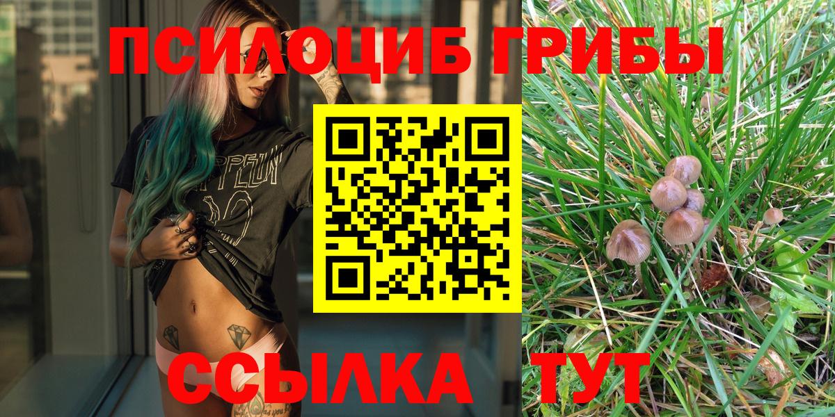 Псилоцибиновые грибы ЛСД Рославль